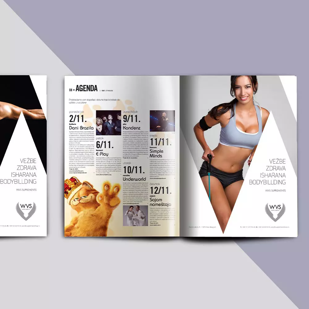 WVS Case Study Ad Design WVS Case Study Ad Design